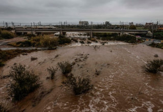 wp header logo17411004461740250905