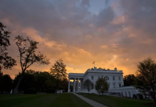 wp header logo17412912132059867101