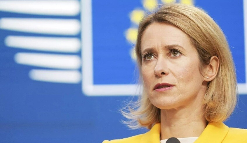 wp header logo17413092571751464676