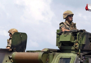 wp header logo17413596132065128639