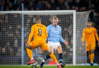 wp header logo17413596301403248196