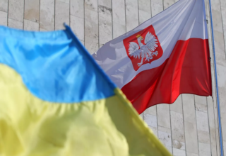 wp header logo17416044601310191987