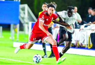 wp header logo174165485528616478