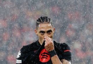 wp header logo17417592123054433