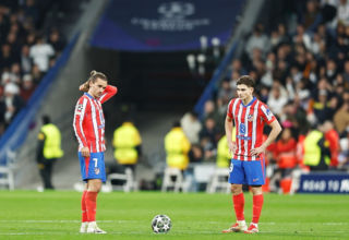 wp header logo17418528101839698999