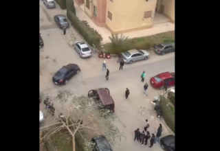 wp header logo17418564151572523415