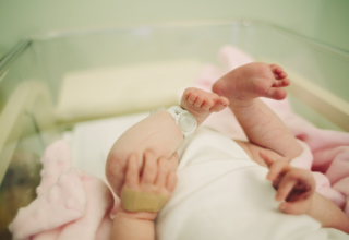 wp header logo17420652701417491248