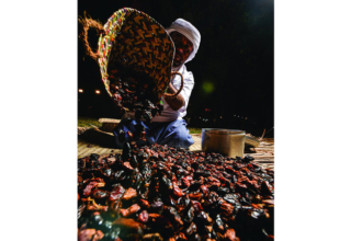 wp header logo174208683062059523