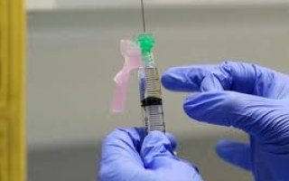 wp header logo174214800867954868