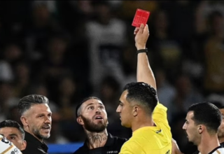 wp header logo17422344111787590615