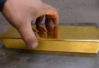 wp header logo17424684321201969839