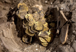 wp header logo17425044121387133598