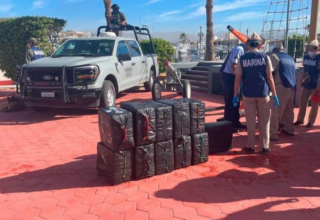 wp header logo1742536844542265291