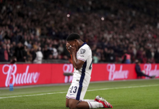 wp header logo1742598012686205824