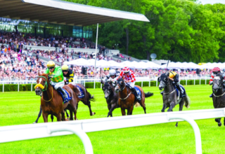 wp header logo17426052221692770748