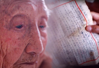 wp header logo17426592101290027346