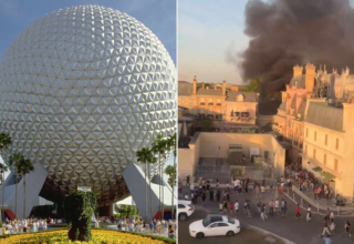 wp header logo17427024111954052584