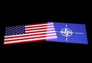 wp header logo1742806899442443041