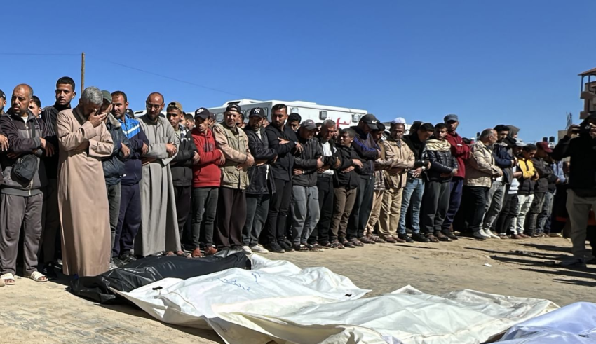 wp header logo17428212161669435709