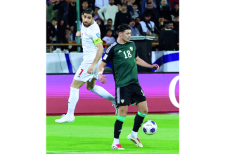 wp header logo17428644181695537231