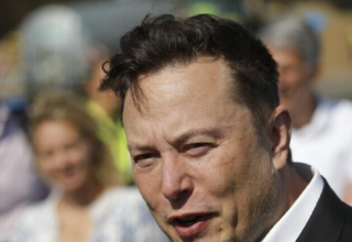 wp header logo17428788311795173938