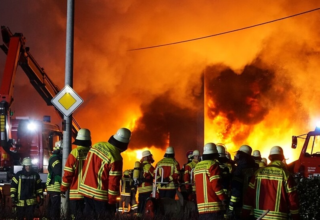 wp header logo1742983235828636943