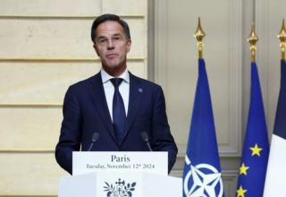 wp header logo17430192341865933020