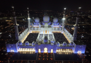 wp header logo1743102010844953434