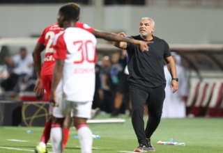 wp header logo17432028081849456018