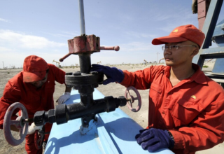 wp header logo17434980261064217024