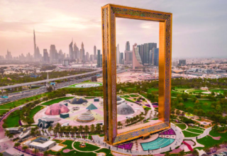 wp header logo1743537619153022060