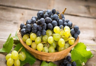 wp header logo17435664081756920635