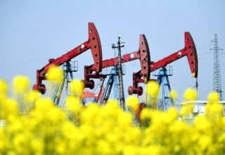 wp header logo17435844281355453515