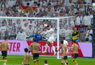 wp header logo17435916111277360011