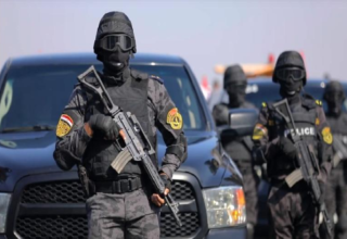 wp header logo174370321016222423