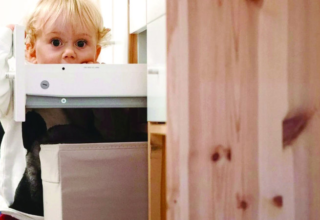 wp header logo17438148561371289034