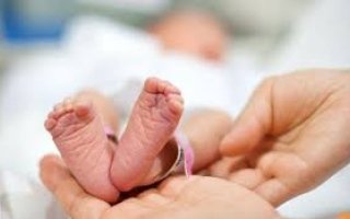 wp header logo17438328101982988809