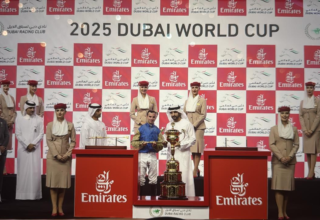 wp header logo1743879646738403724