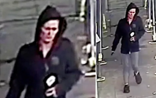 wp header logo17439120121980790490