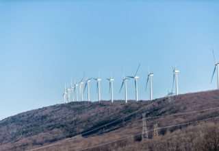 wp header logo17440164273070442