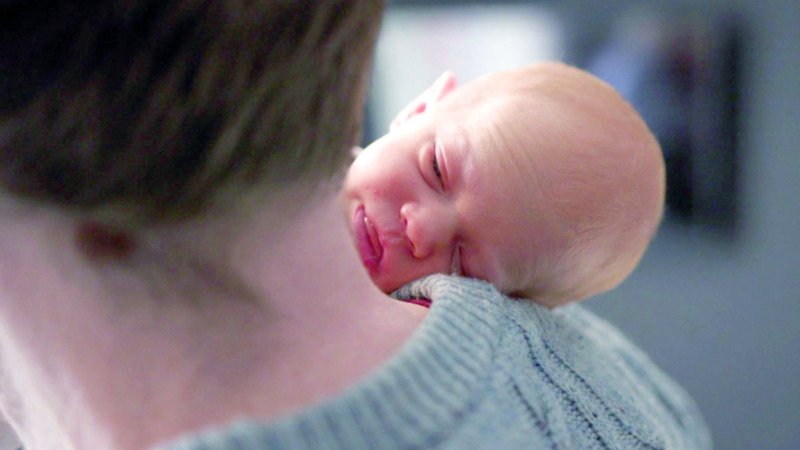 wp header logo1744160424592025307