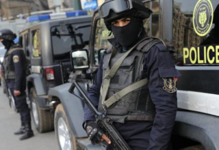 wp header logo1744300812487684818