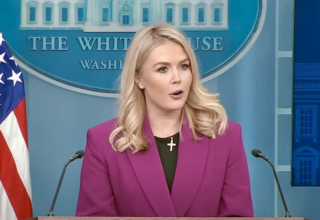 wp header logo1744455609840740746