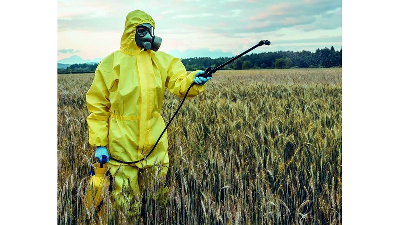 wp header logo17446788071007451115