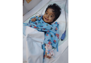 wp header logo17449056131752238016