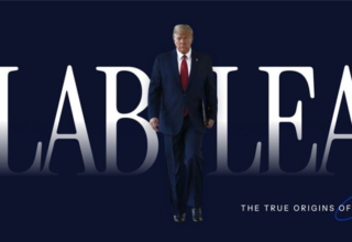 wp header logo17450100471938783451