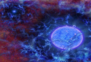 wp header logo1745053220497345229