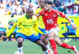 wp header logo17450784301939615103