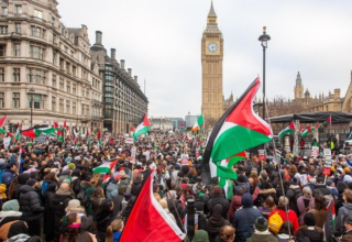 wp header logo17451108091137528983