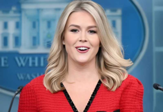 wp header logo1745125213926186821